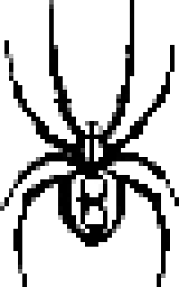 [91a2ba] spider