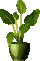 [e7d875] pixel_collection_greenplants_2