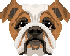 [dfdafc] Dog_8