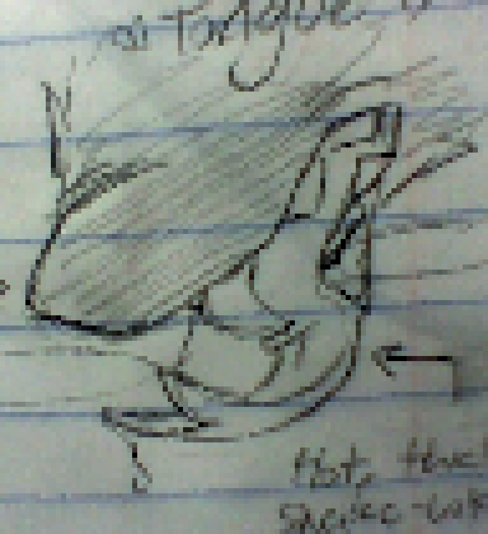 [d0698a] my oc's mouth | someone who likes pain
