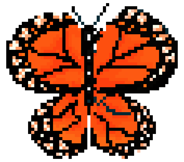 [c80e06] butterfly 1