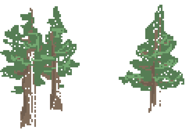 [9664c4] forest