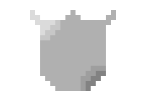 [633133] shield