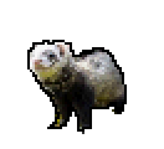 [56380d] ferret