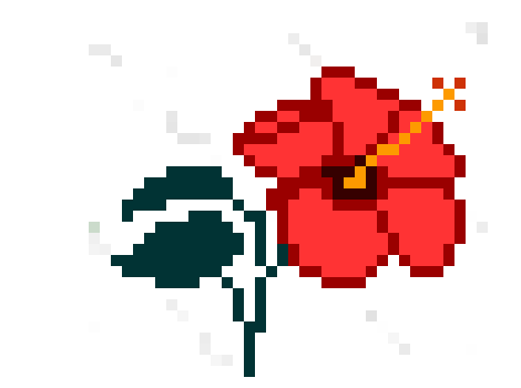 [9de755] Hibisicus