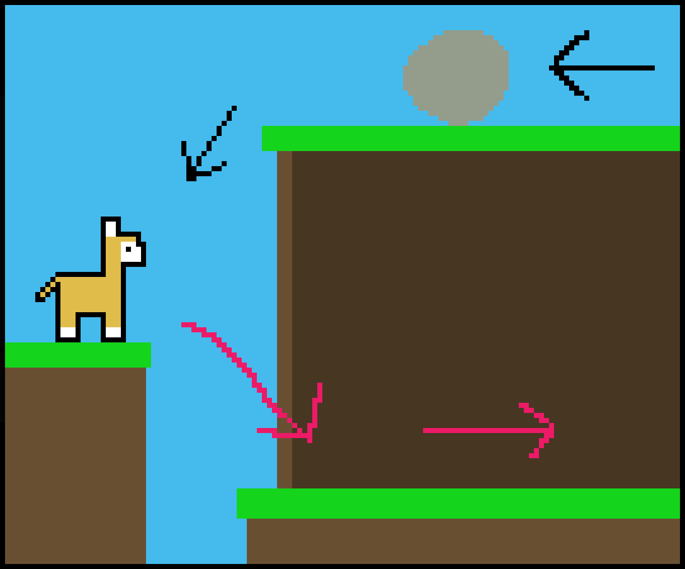 [820134] Alpaca problems