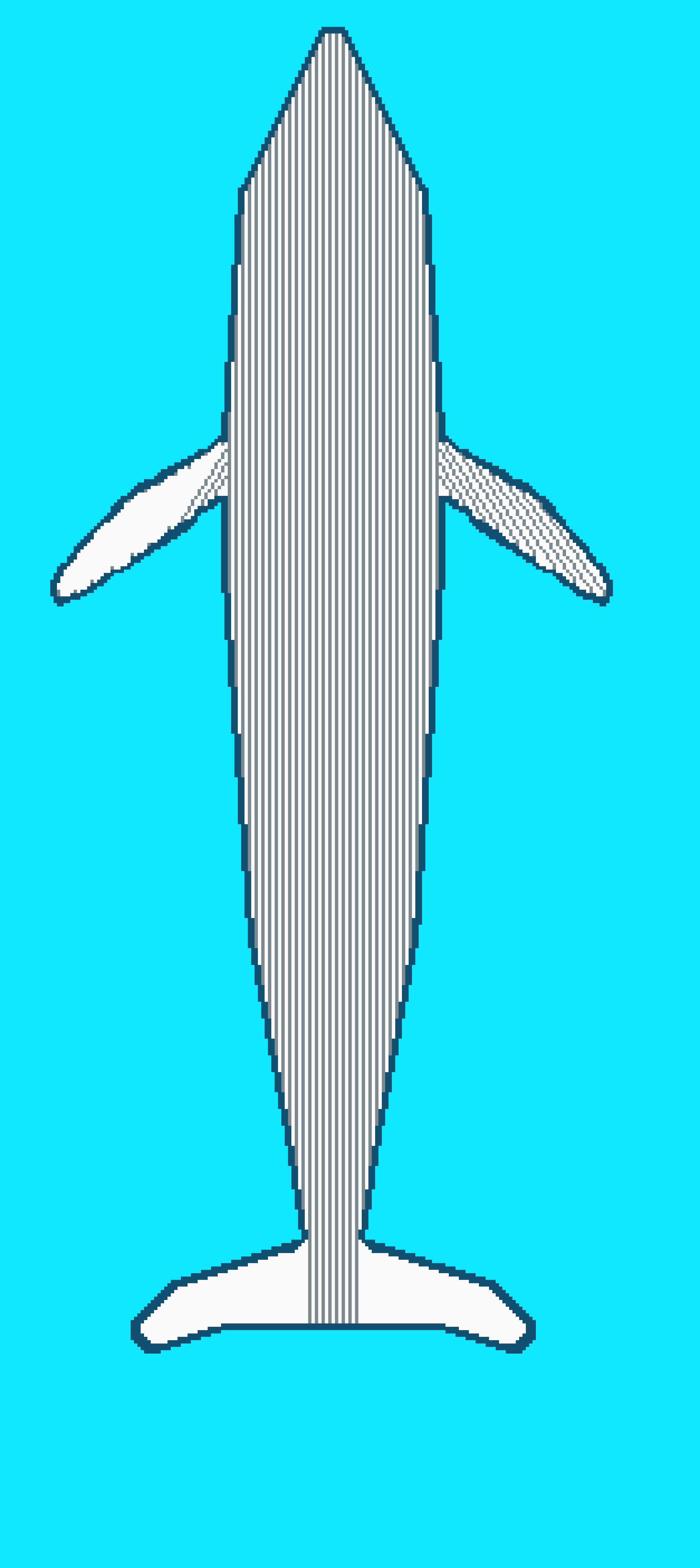 whale skateboard