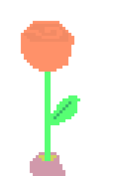 [9664c4] rose