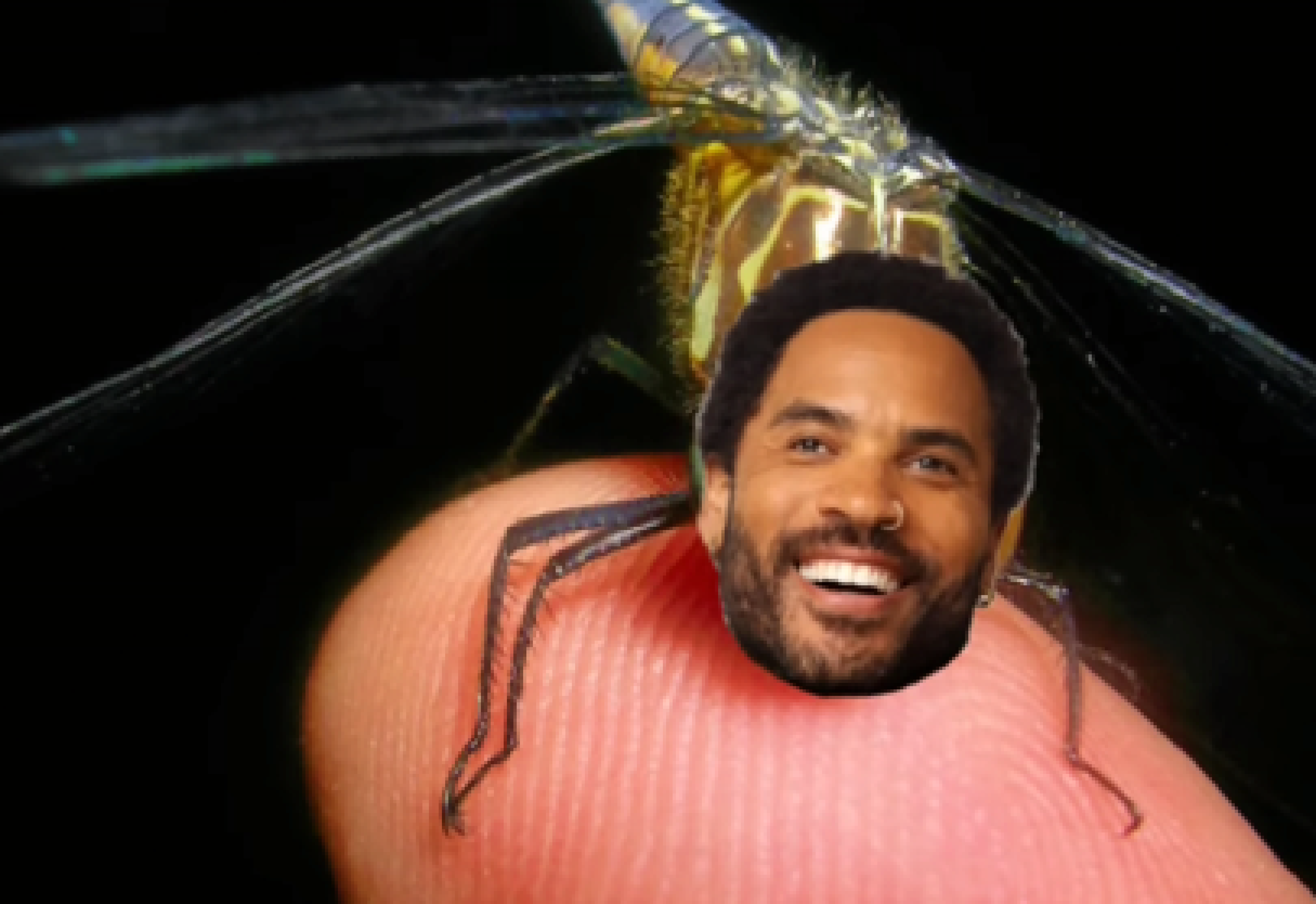 [829614] lenny kravitz dragonfly low quality