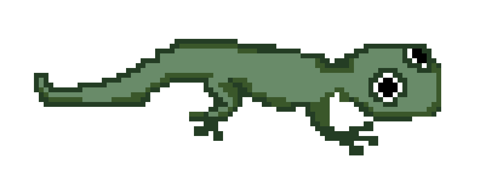 Lizard