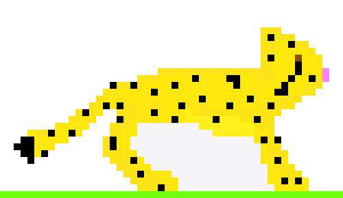 [322634] CHEETAH