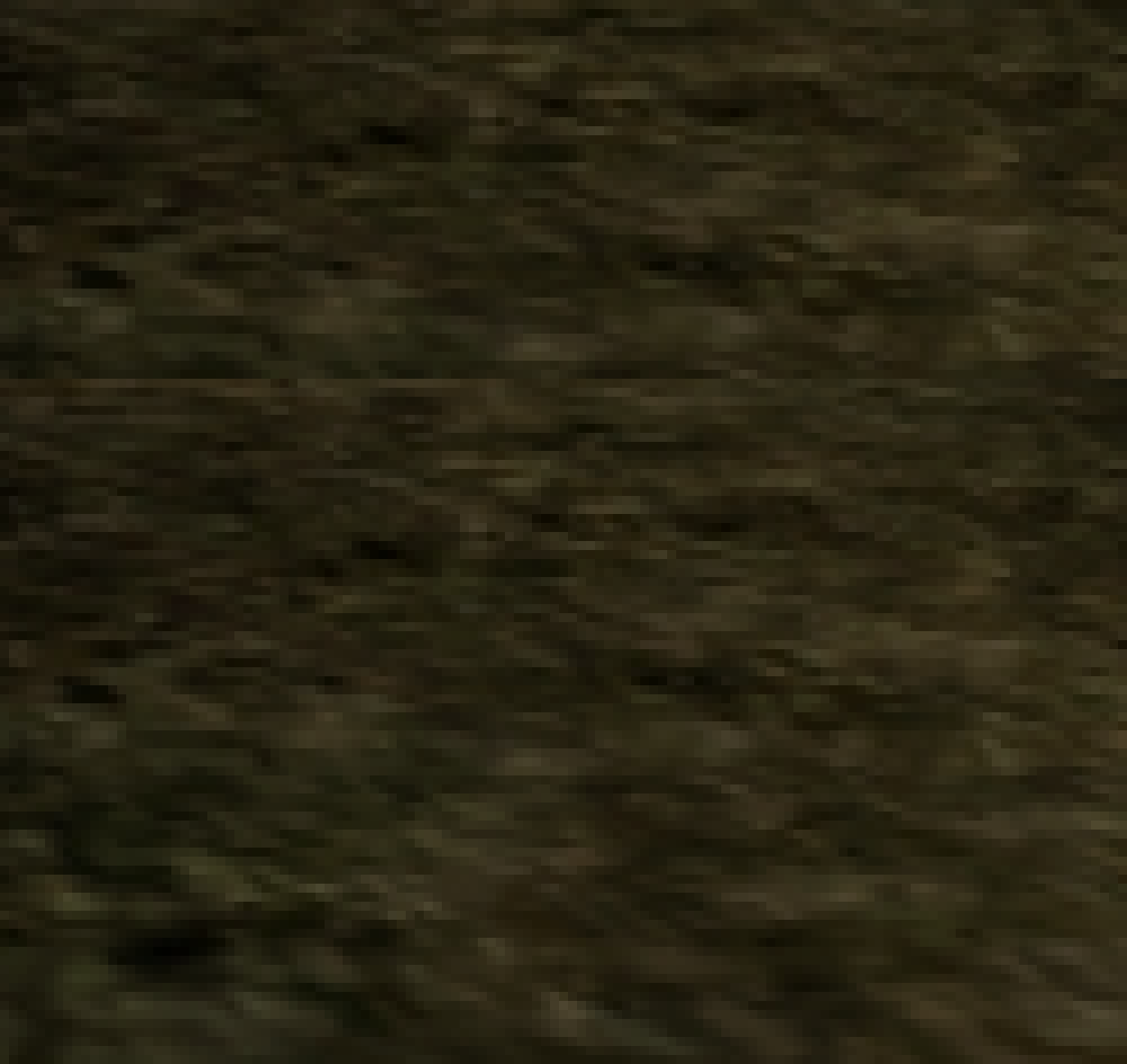 [4c900a] Swamp Camp TileMap