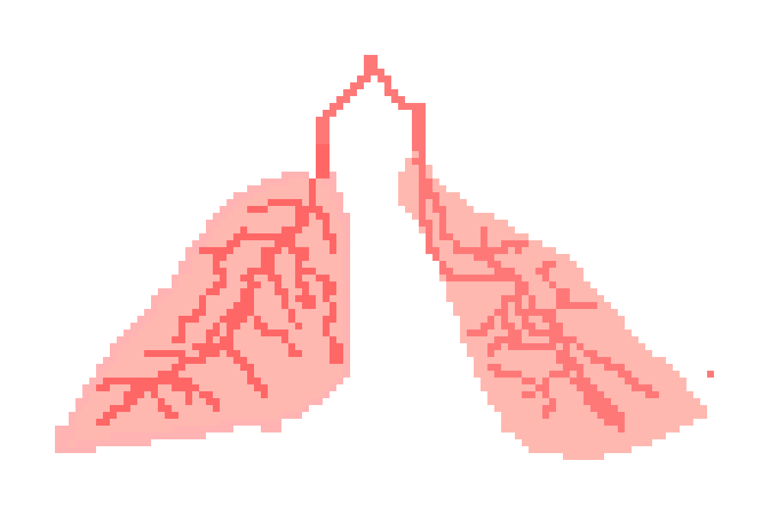 [2b4978] my wonky lungs