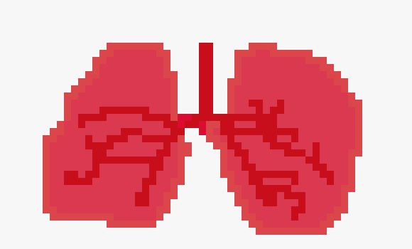 [401978] pixel lungs