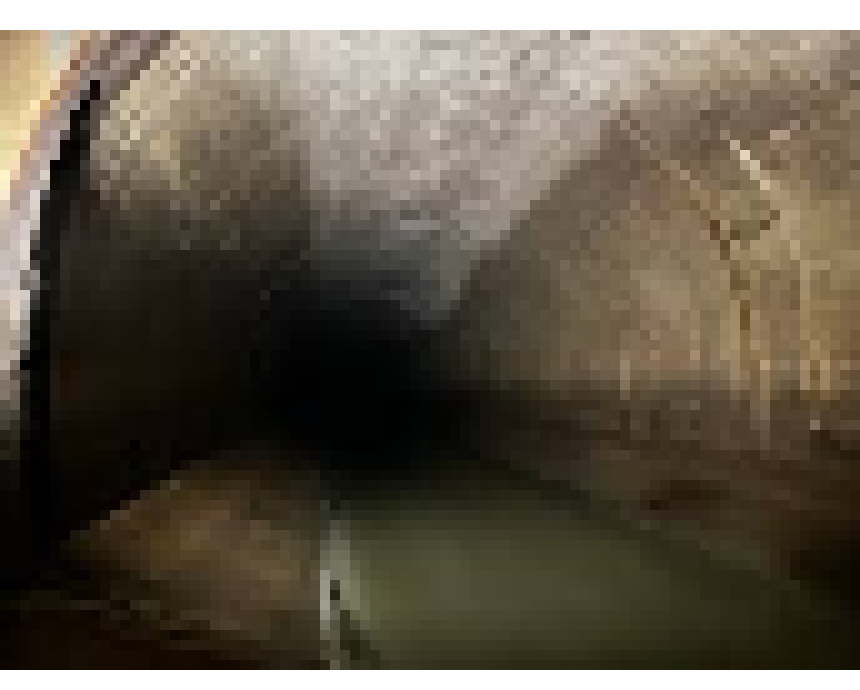 [bce8e5] EKU DELL SEEMINGLY LEXI MISUTI AND DANGER TURN: lexis team sees openings to the north and west.
