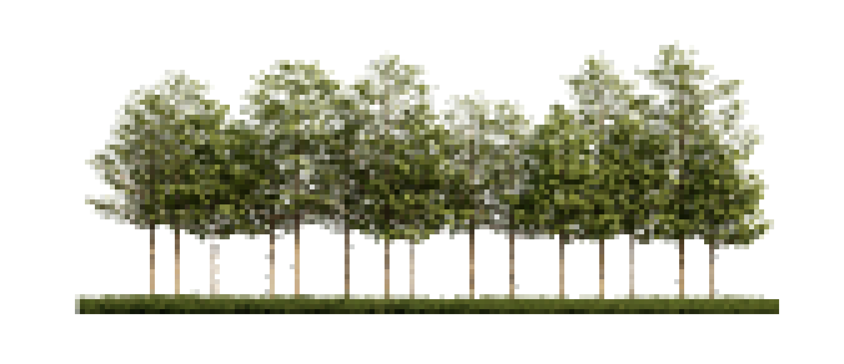 [e830ff] trees