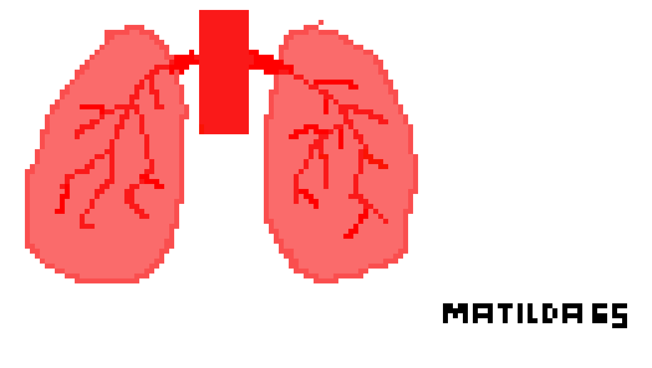 [2b4978] My Lung Diagram