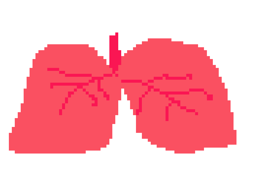 [401978] pixel lung