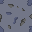 wall tile