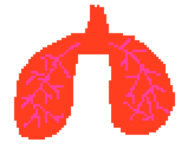 [2b4978] Lungs I made in 3 seconds.