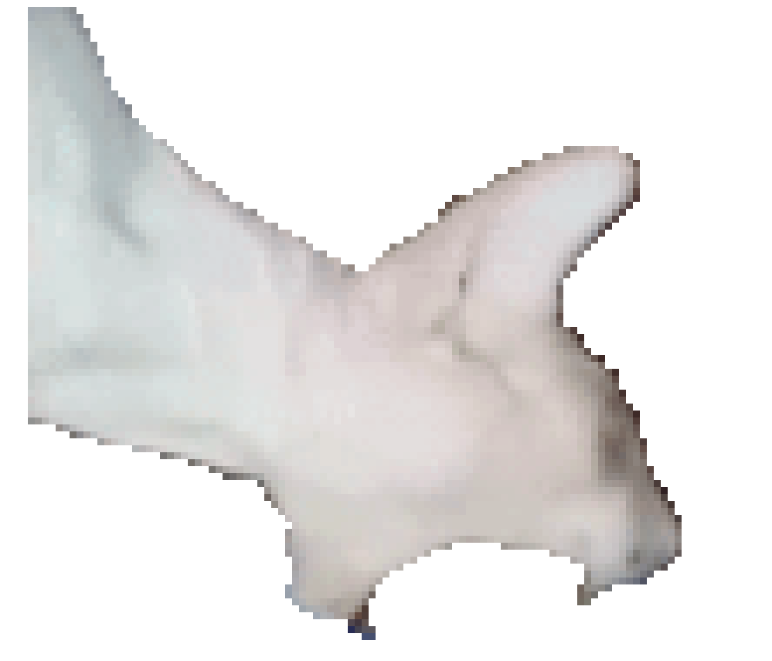 [7a641d] CHOMP frame1