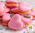 [f15231] Valentine_chau_51