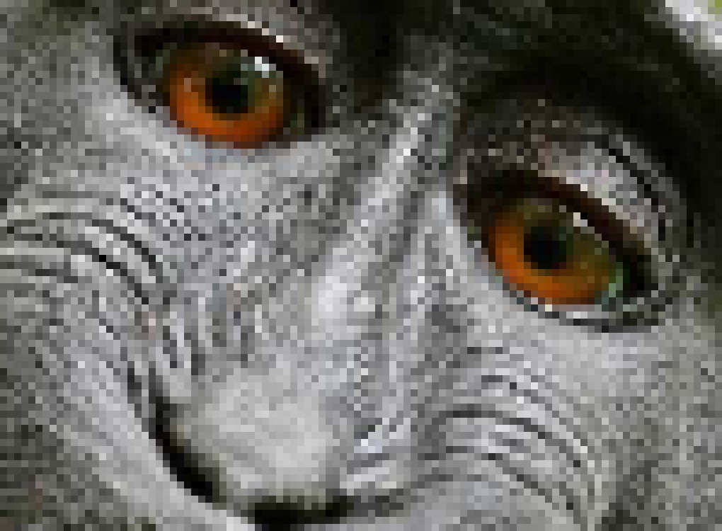 [a4208d] monkey