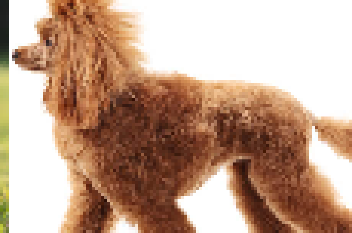 [56228f] hondje