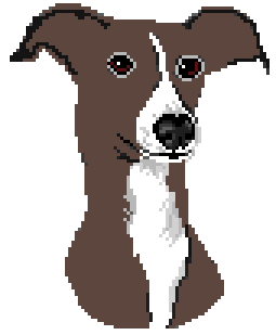 [bb0905] Greyhound