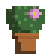 [9664c4] cactus 2