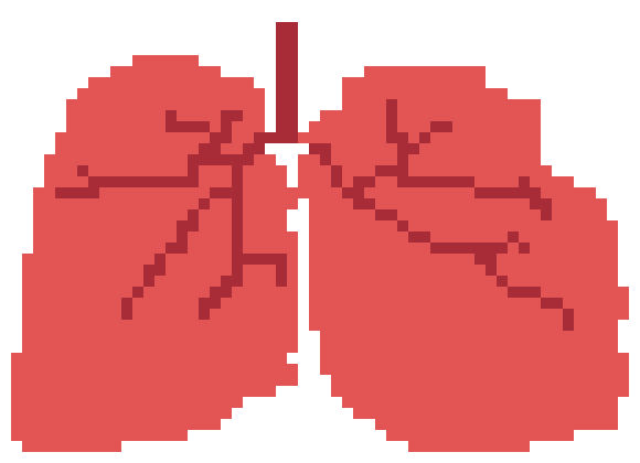 [401978] pixel lungs