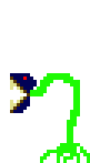 [9664c4] Plant1