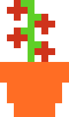 [df8de1] Tomato 4