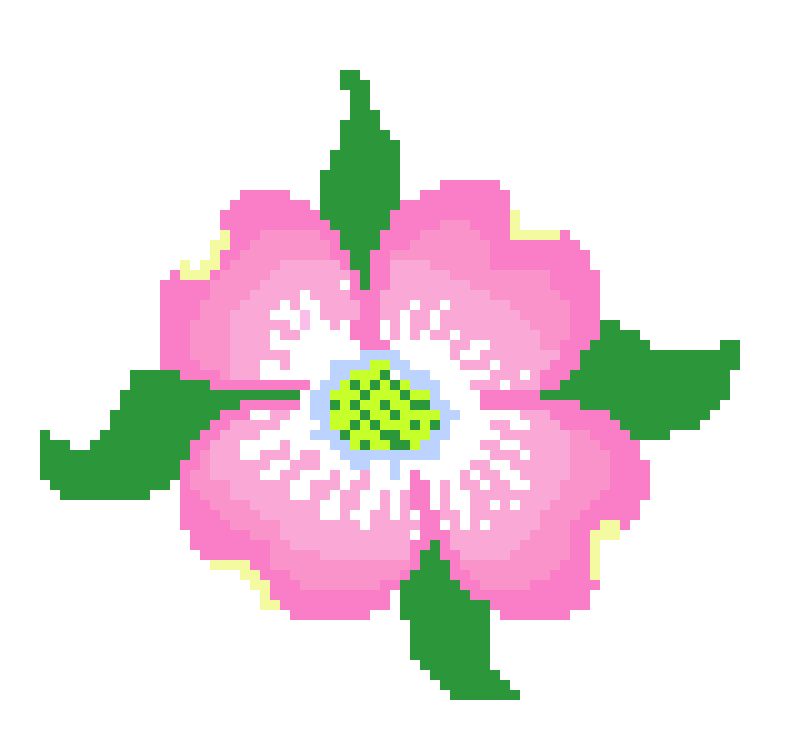 [9664c4] dogwood blossom