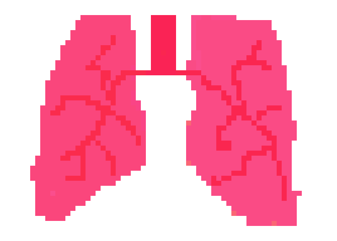 [196747] Pixel Lungs