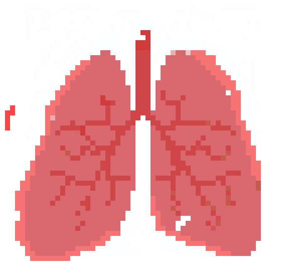 [0de65d] Pixel Lungs
