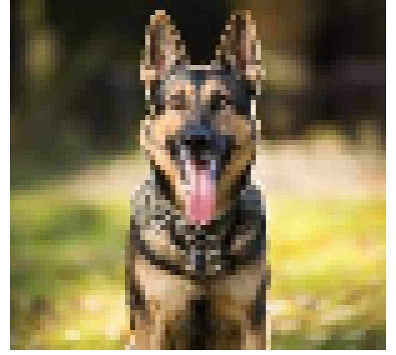 [0b0a08] My homemade dog