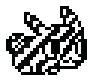 [9664c4] Bunzee