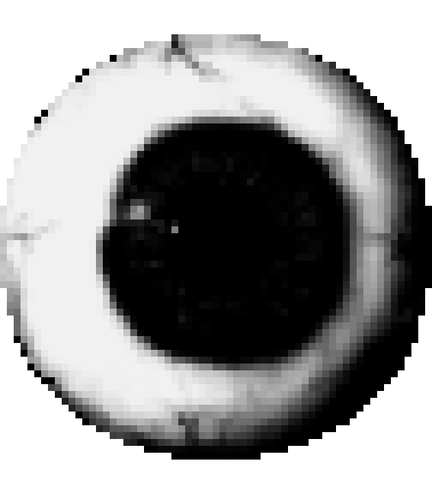 [f7fa0c] Custom Undertale Human Sprite Template