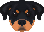 [dfdafc] Dog_13