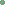 [8bb631] Player