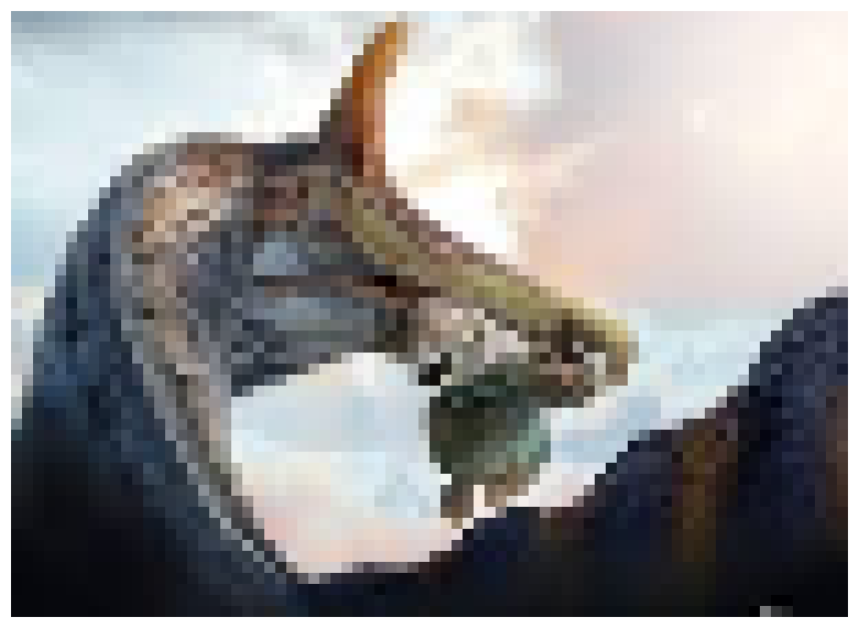 [40fce4] New Spino
