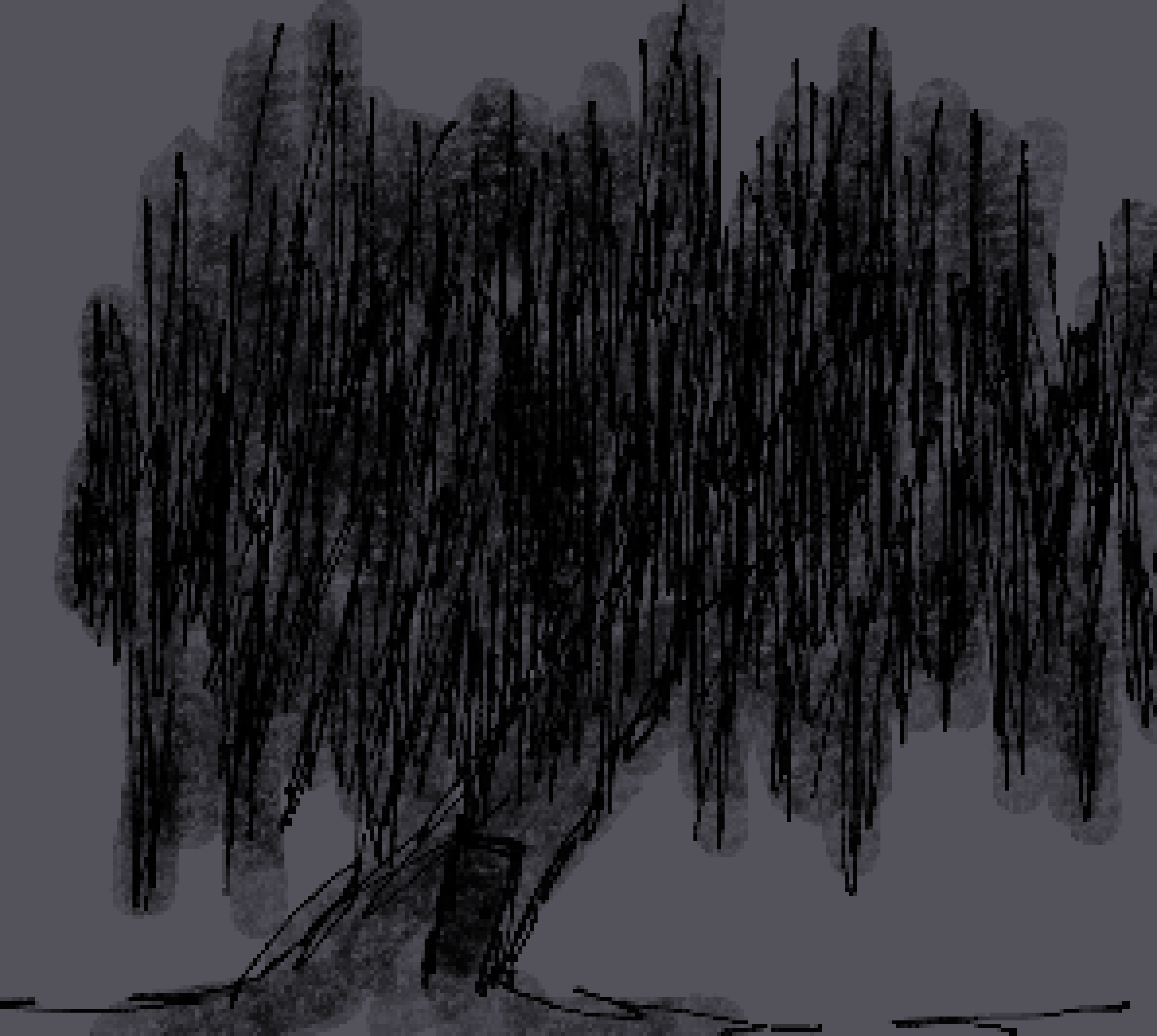 [48aaa9] The Willow Tree