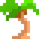 [a8cf3d] Palm Tree