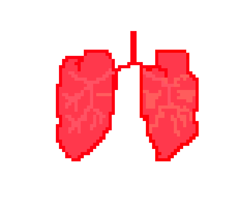 [2b4978] Ashvikaa's Lungs