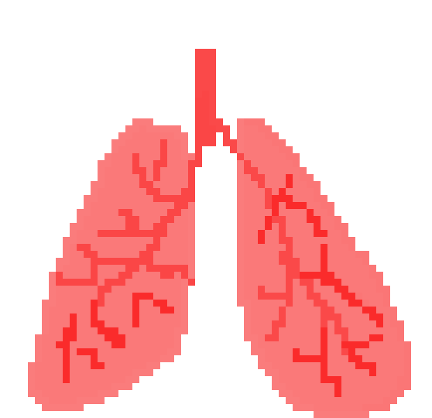 [19da3e] LUNGS Pixel