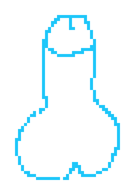 Penis