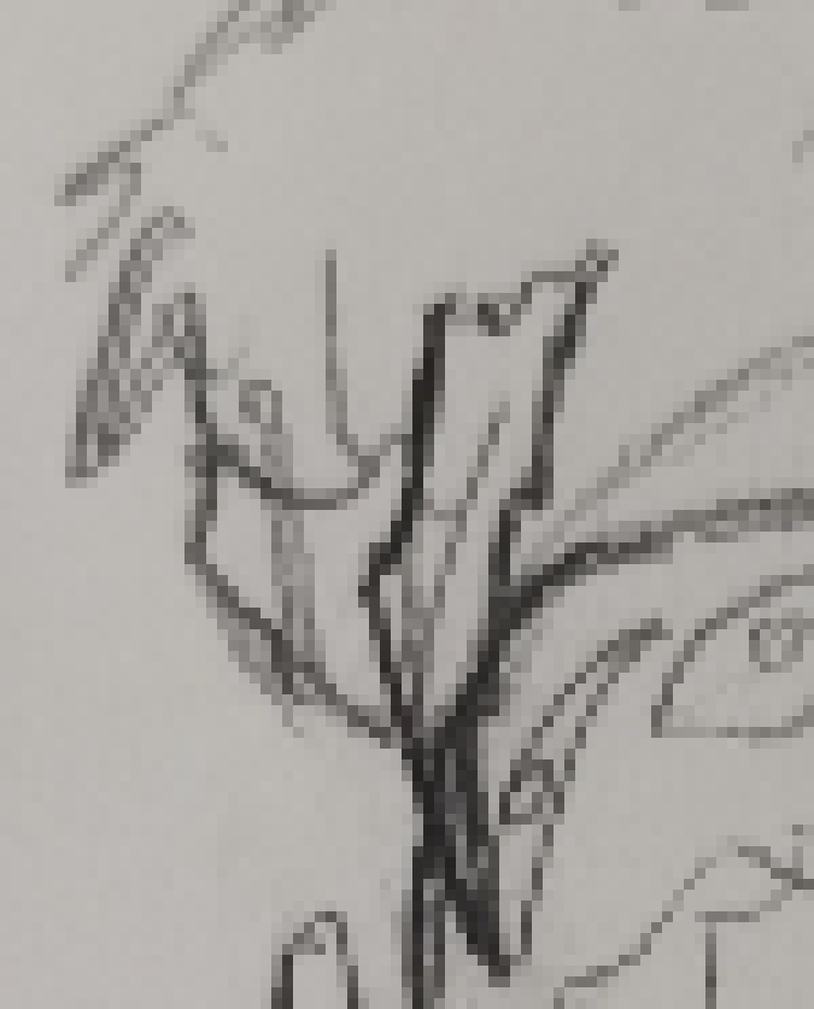 [816c09] Marker, how long does the potion last for?