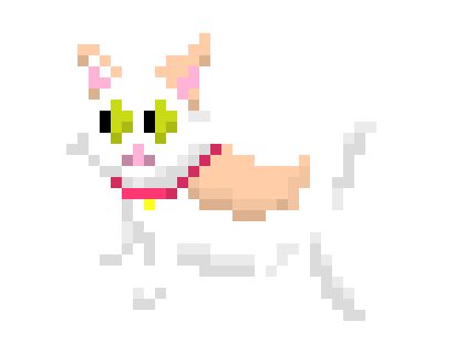 schrondingerCat