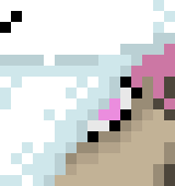 [236914] hi rabbit